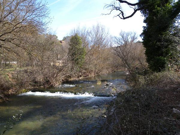 peche truite issole