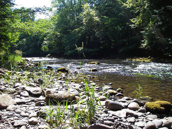 La Maronne Rivière SaintGeniezôMerle Rivières 19 Atout Pêcheur