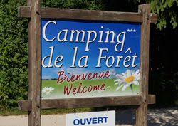 CAMPING DE LA FORET