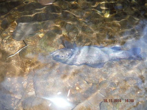 Encore une pollution du Tier Encore une pollution du Tier