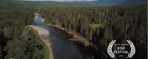 RISE FESTIVAL RISE FESTIVAL