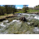 Angelo Palazzini Moniteur Guide de Pêche dans la Sorgue le Verdon et les Alpes du Sud