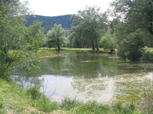 Le lac de Thorenc