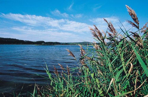 Lac de Marcenay