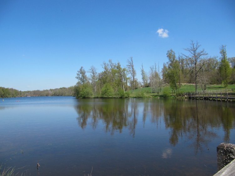 Etang de Saint Estephe