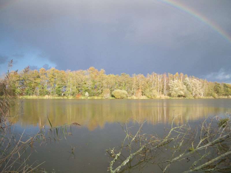 Etang du Mez Savary