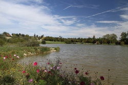 Etang communal de Pellevoisin