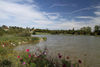 Etang communal de Pellevoisin