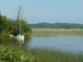 Lac d'Aureilhan à Mimizan