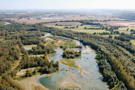 Les Saligues de l'Adour