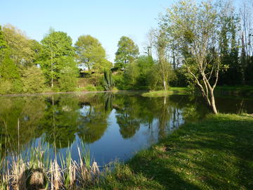 Etang de la Marniere