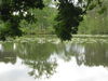 Etang de la Glacière