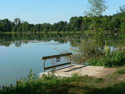 Etang de Tréhet - La Coudraie