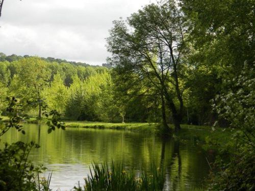 Etang de Saint Lubin