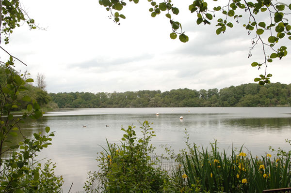 Etang de Boisvinet