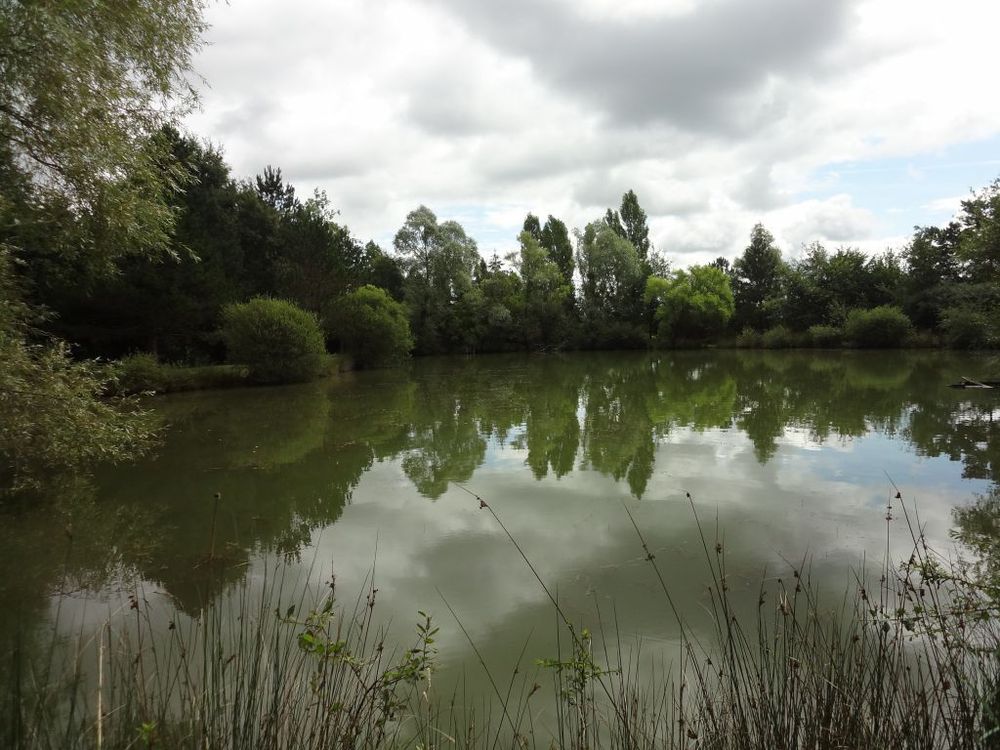 Etang de Sassay