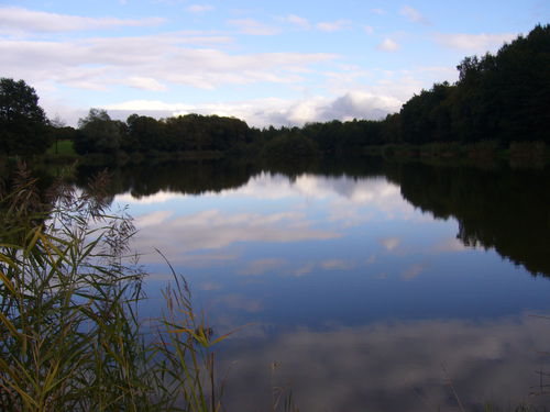 Etang du Vivier a  Valencogne