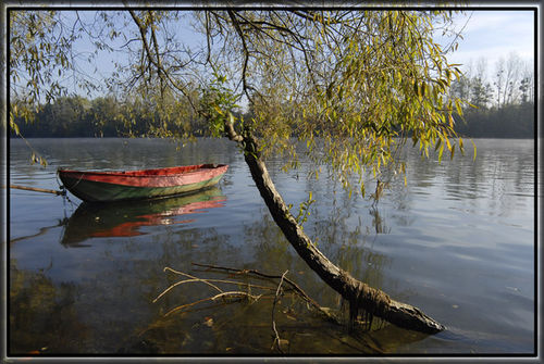 Seine