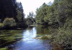 La Vézère Parcours surdensitaire de la plaine d'Arvis