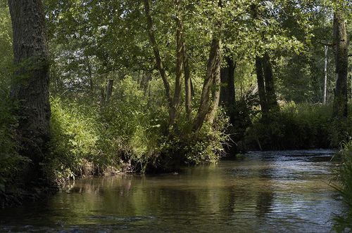 Parcours mouche de la Vezouze