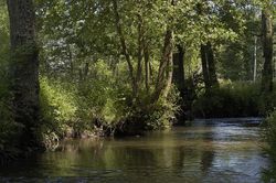 Parcours mouche de la Vezouze