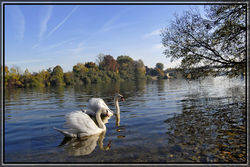 la Seine