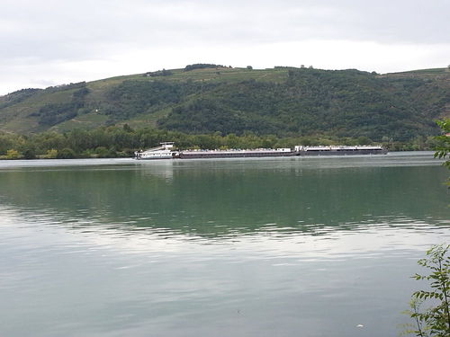 Le Rhône ( Barrage de Seyssel)