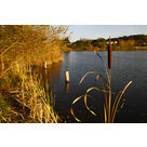 Le lac de Sames