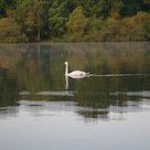 L'Etang La Tour