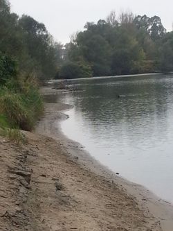 Bord du Rhône et lône au Pont d'Evieu