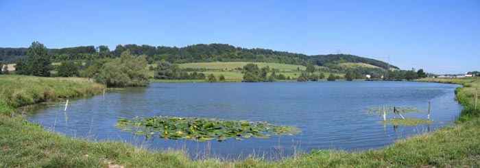 Etang de Saint-Aubin-Le-Cauf