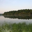 L'Etang La Tour