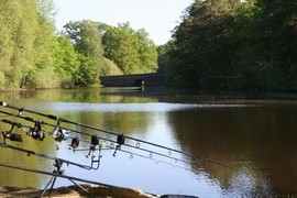 Etang Le Coupe gorge