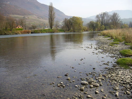 Le Rhône