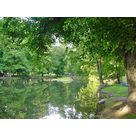 L'étang du Parc de la fecht