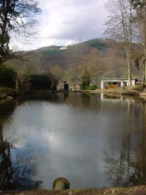 L'étang du Schlosswald