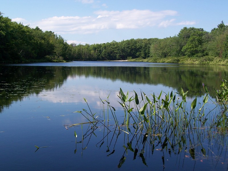 plan d'eau de Courtavon