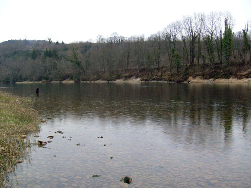 Basse Rivière d'Ain ( 2eme catégorie )