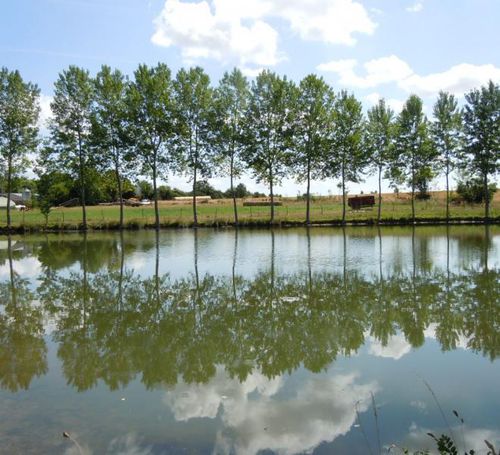 LAC DE PÊCHE DES 3 CHÊNES