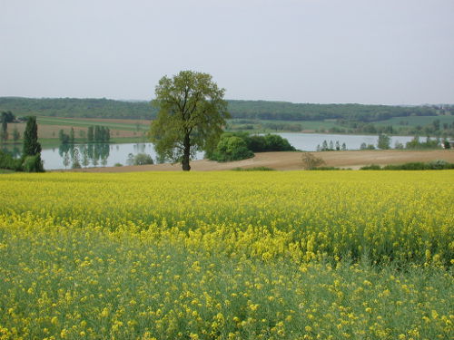 LAC DE LAMBRONNE