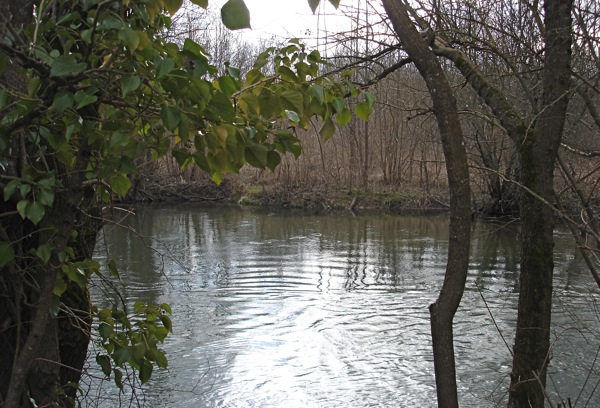 La Boutonne