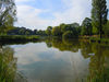 Le Lac Raymond Vignes :