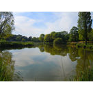 Le Lac Raymond Vignes :