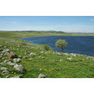 Les lacs Naturels de l'Aubrac :