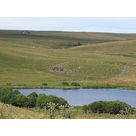 Les lacs Naturels de l'Aubrac :