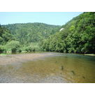 Le Doubs de la Verrerie à Clairbief