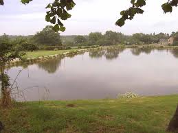 Etang du Bas de Cattigny