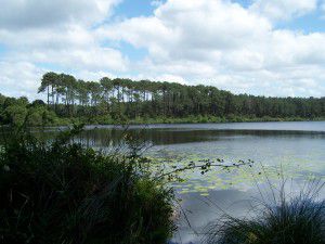 Lac de  Moliets