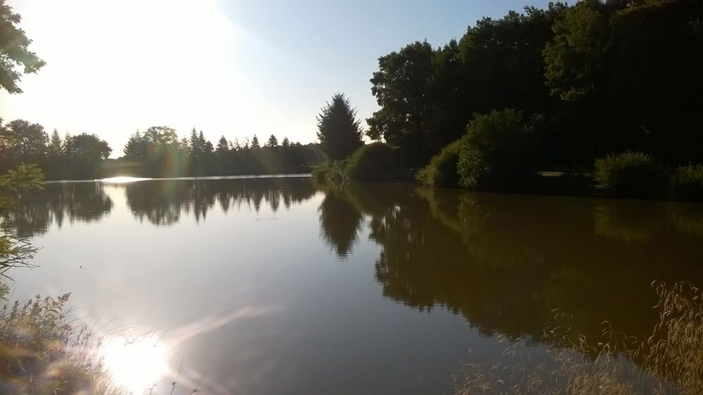 Etang des Mazes