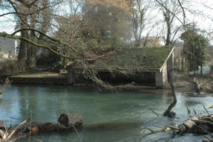 LA SEINE à GYE-SUR-SEINE